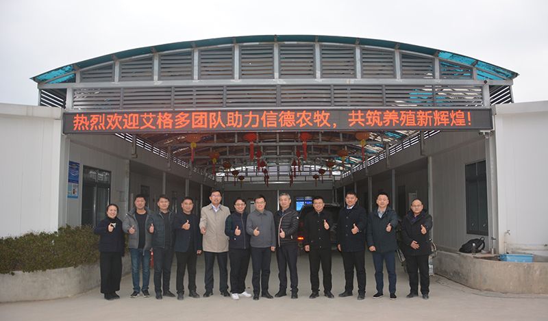 艾格多集團助力信德農牧，共推蛋雞養殖智慧化新篇章